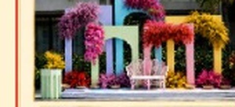 Wedding Backdrops and Mandap Decor
